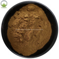 Free Sample ganoderma lucidum spore extract powder